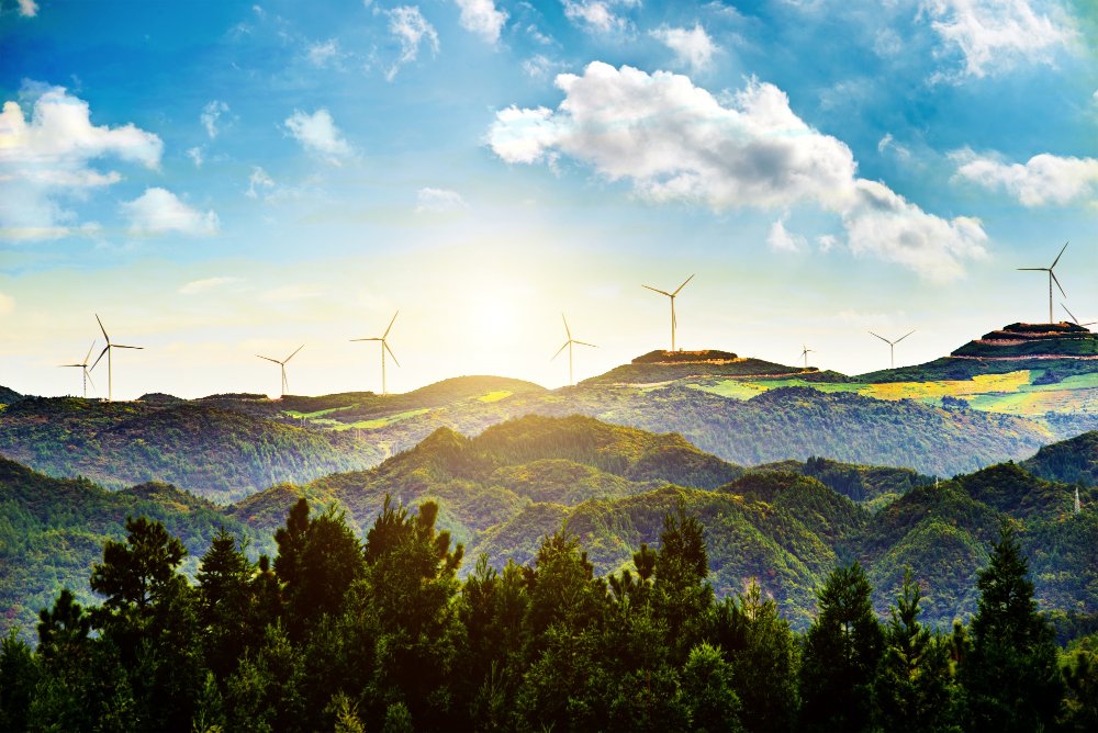 Training Diploma in Skills of Chief Sustainability Officer
